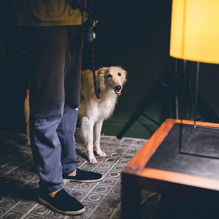 Hotel Casa Bonay & 4*