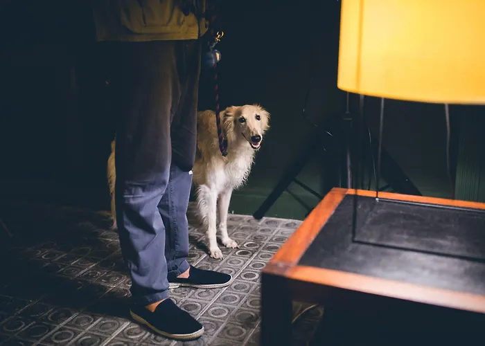 Hotel Casa Bonay & 4*